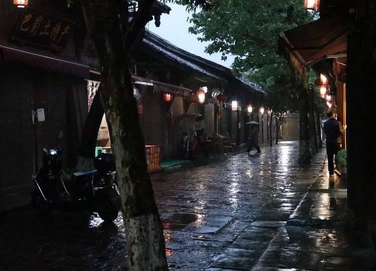 植物大战僵尸20